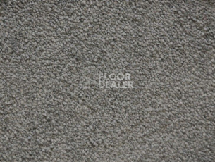 Ковролин Radici Lord Selce 123A фото 1 | FLOORDEALER